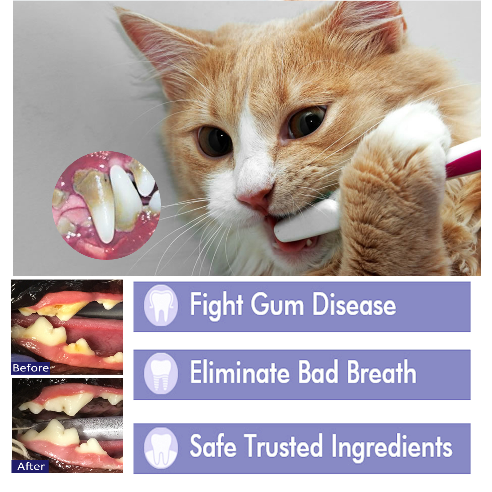 Pet Toothpaste Reduce Tartar R – Teeth Whitening Toothpaste recenzja i cena