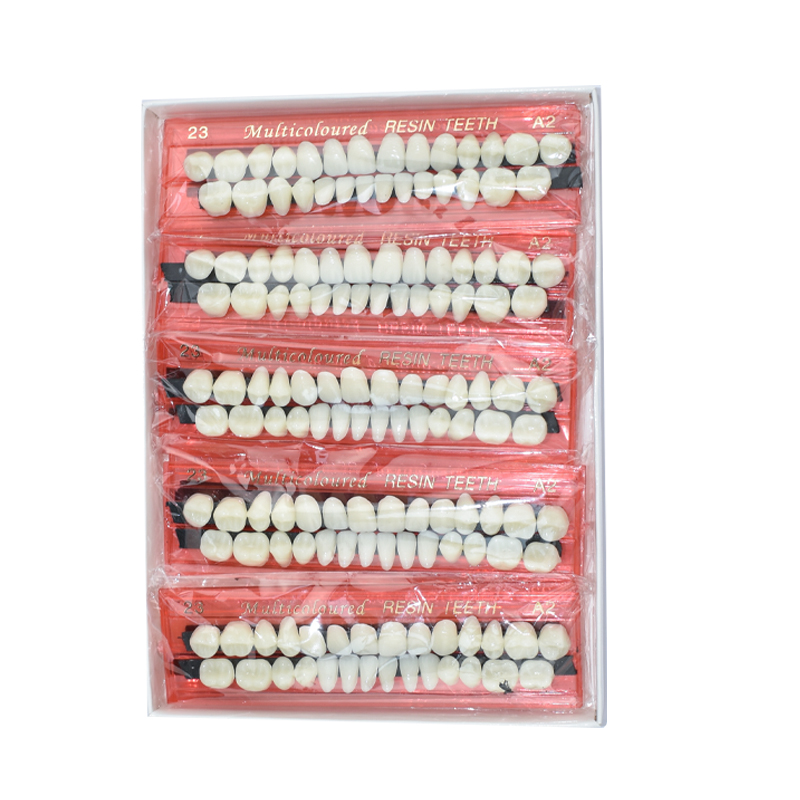 28 Teeth Dental Resin Denture  – Teeth Whitening Flash recenzja i cena