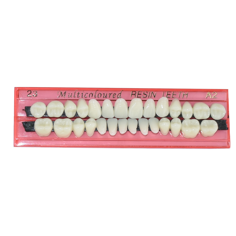 28 Teeth Dental Resin Denture  – Teeth Whitening Flash recenzja i cena