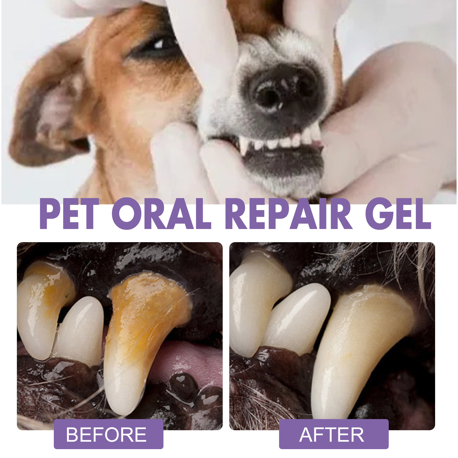 Pet Oral Repair Gel Puppy Tart – Teeth Whitening Session recenzja i cena
