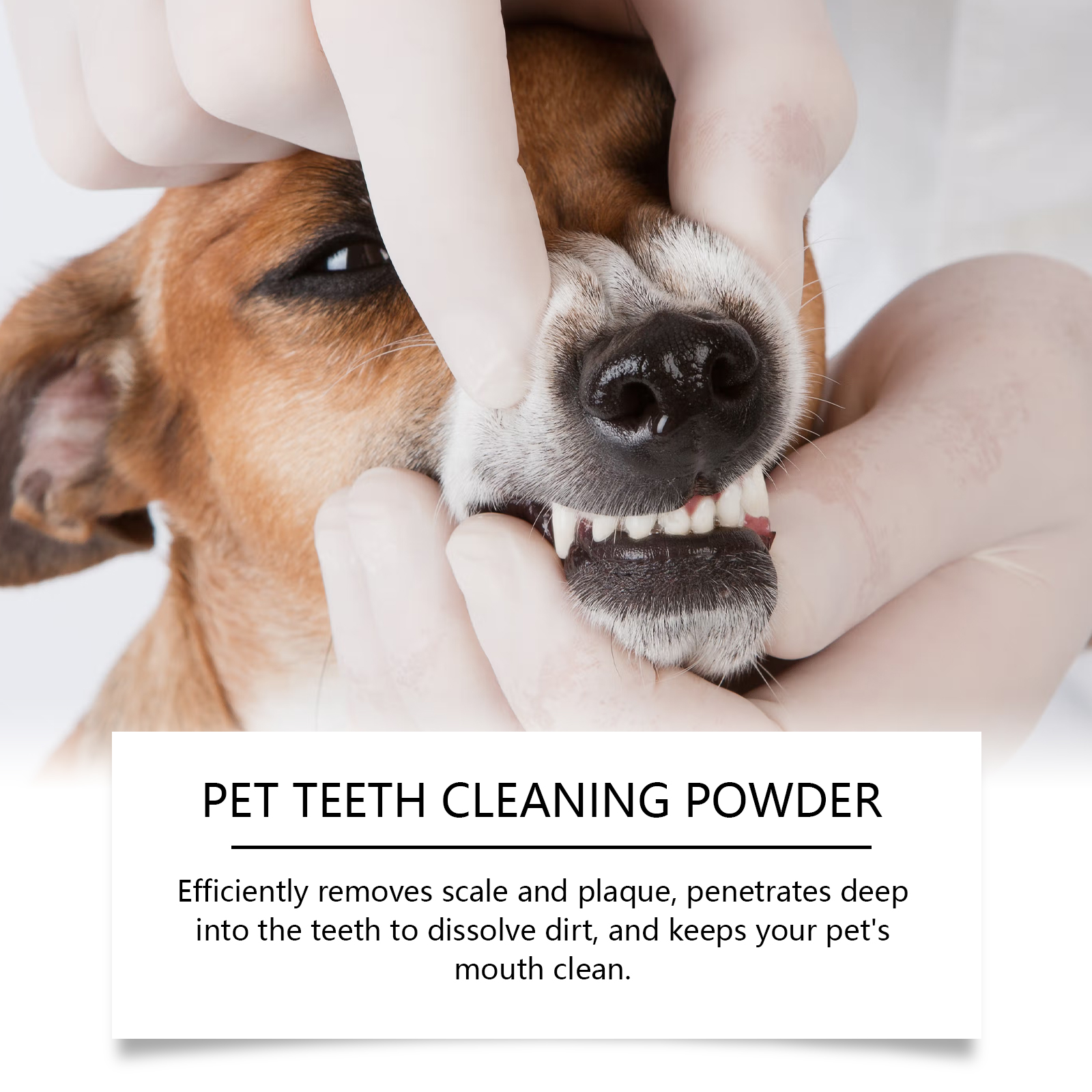 Pet Teeth Cleaning Powder Redu – Teeth Whitening Flash recenzja i cena