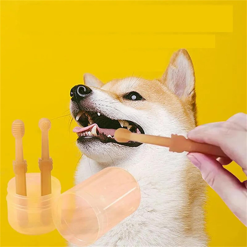 Teeth Whitening Dog Cat Silico – Teeth Whitening Toothpaste recenzja i cena