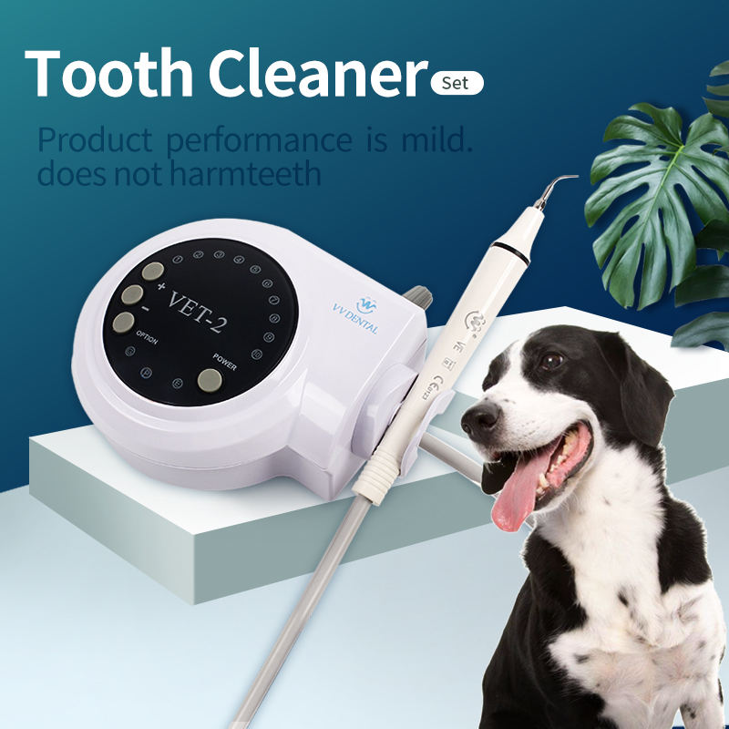 Pet Dental Ultrasonic Scaler D – Teeth Whitening Session recenzja i cena