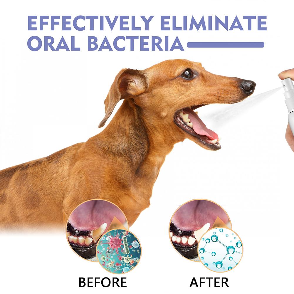 Pet Oral Cleaning Spray Mouth  – Colgate Whitening Teeth recenzja i cena