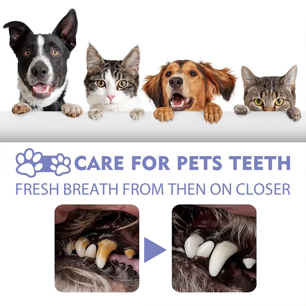 Pet Oral Cleaning Spray Mouth  – Colgate Whitening Teeth recenzja i cena